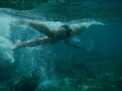 My swim-training with a lot of corals, fish, sea-turtles and even dolphins in between helped me a lot to improve my skills in the water. Photo: Bea.